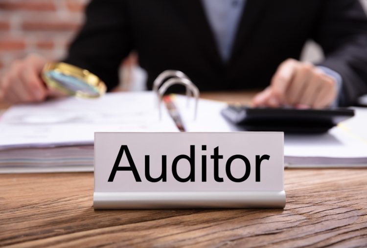 Auditor Internal